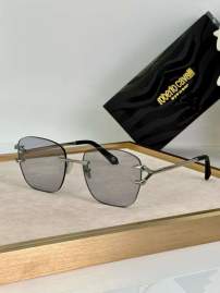 Picture of Roberto Cavalli Sunglasses _SKUfw60701564fw